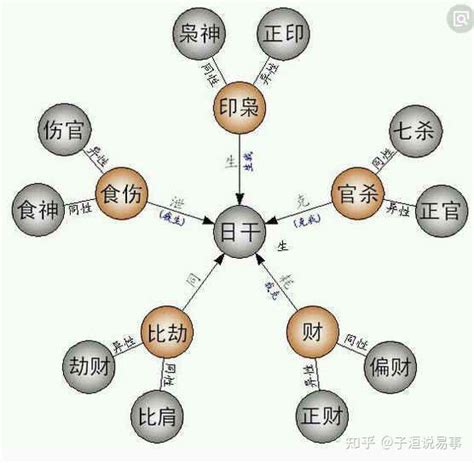 財官印比食|八字科學論命8